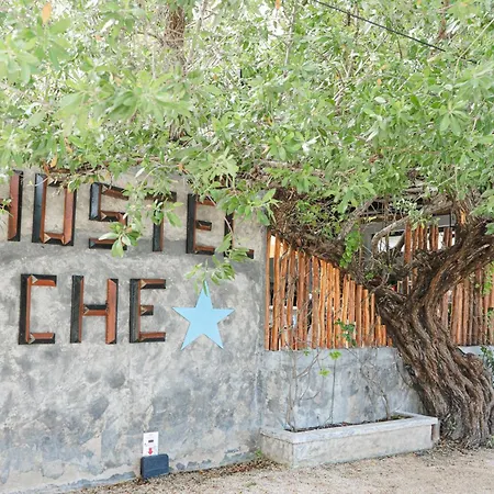 Che Holbox Hostel & Bar Adults Only-2